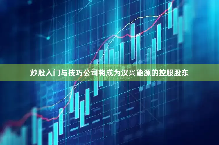 炒股入门与技巧公司将成为汉兴能源的控股股东