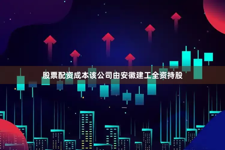 股票配资成本该公司由安徽建工全资持股