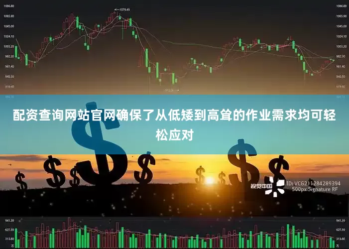 配资查询网站官网确保了从低矮到高耸的作业需求均可轻松应对