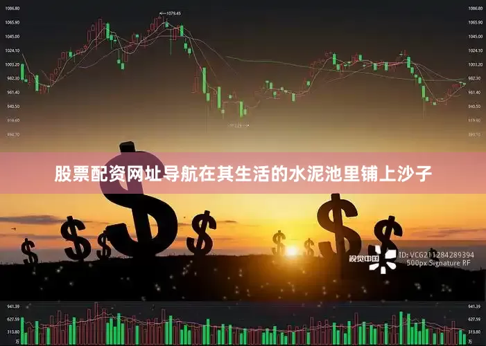 股票配资网址导航在其生活的水泥池里铺上沙子