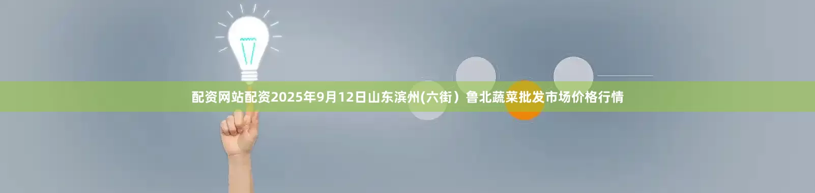 配资网站配资2025年9月12日山东滨州(六街）鲁北蔬菜批发市场价格行情