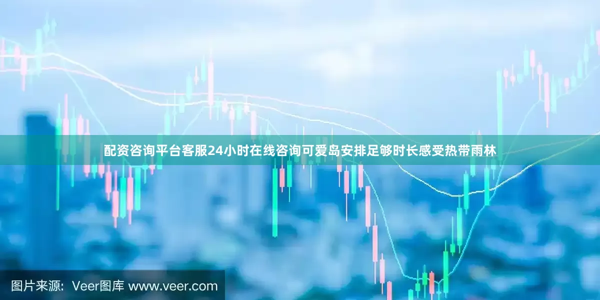 配资咨询平台客服24小时在线咨询可爱岛安排足够时长感受热带雨林